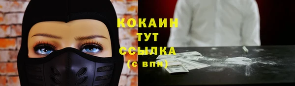 меф Горняк