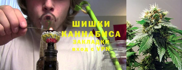 тгк Горнозаводск