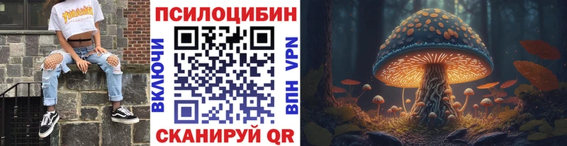 Купить закладки  Кизел  Псилоцибиновые грибы мухоморы 