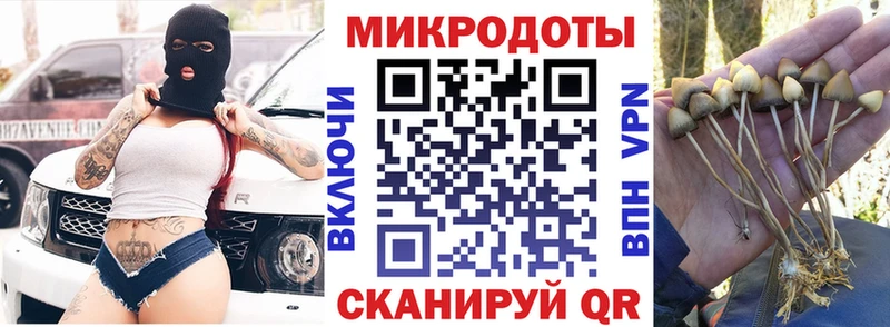 Галлюциногенные грибы прущие грибы Кизел